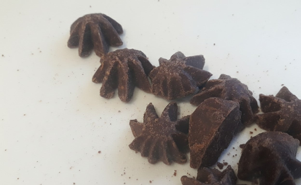Homemade Chocolate Candy Starfish
