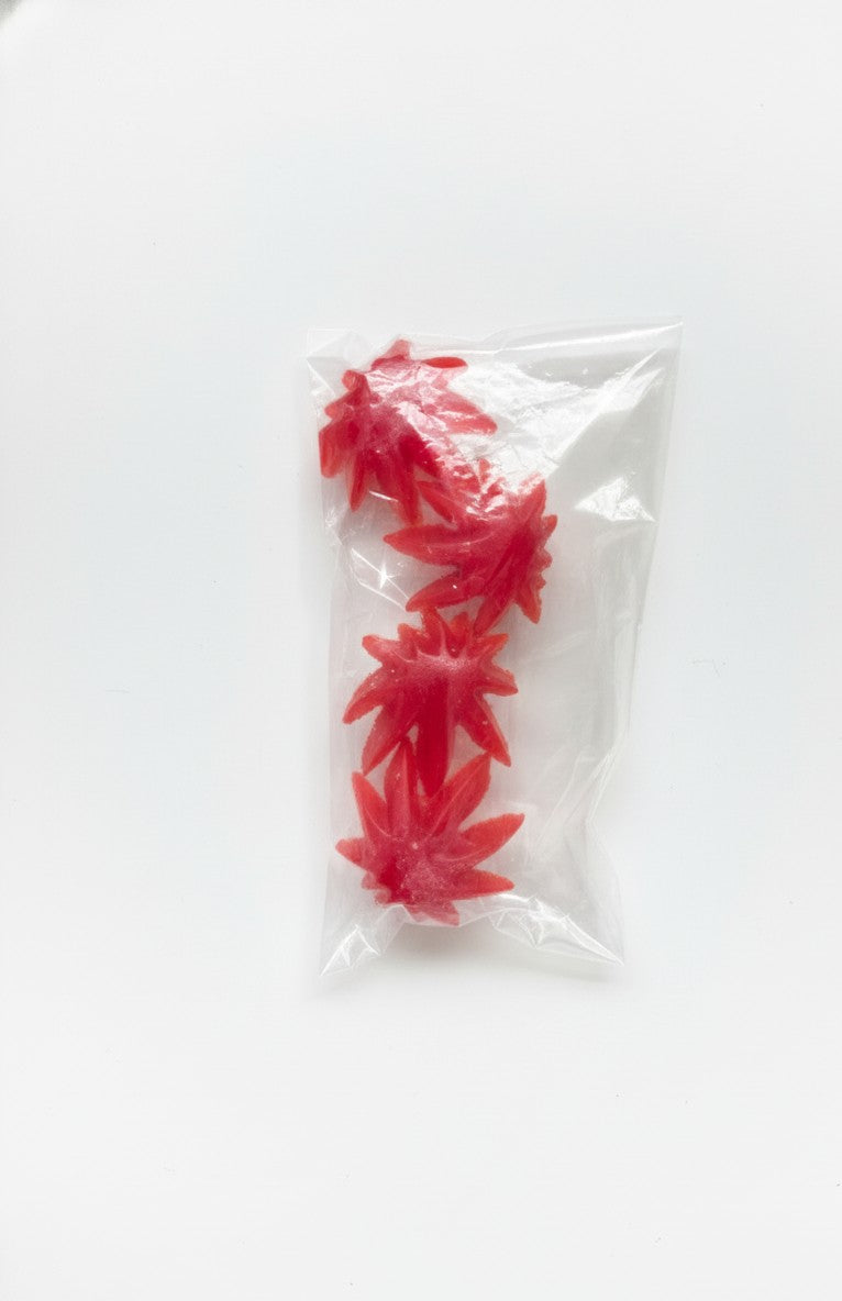Homemade Gummies Starfish