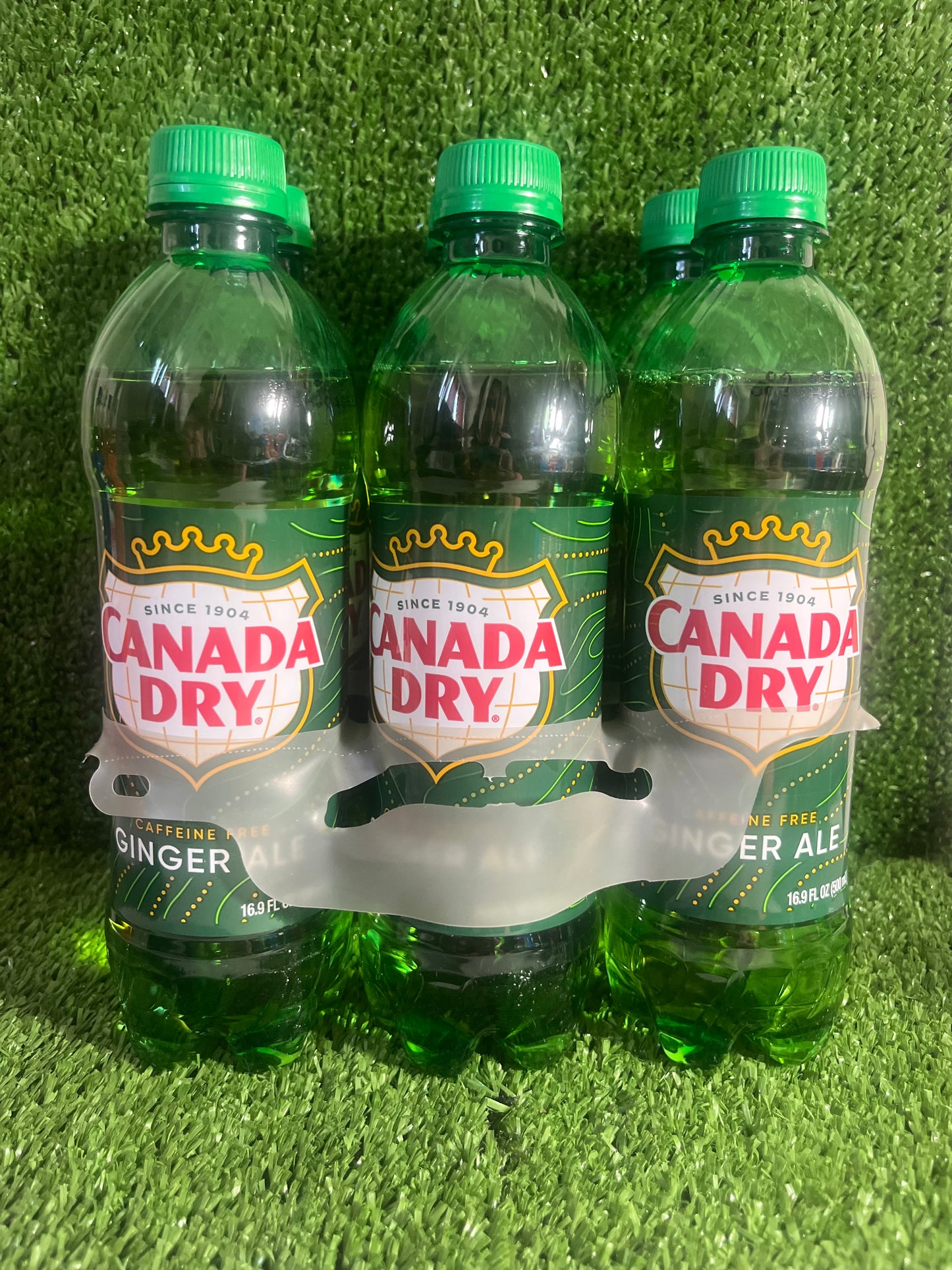 Ginger Ale 6pk