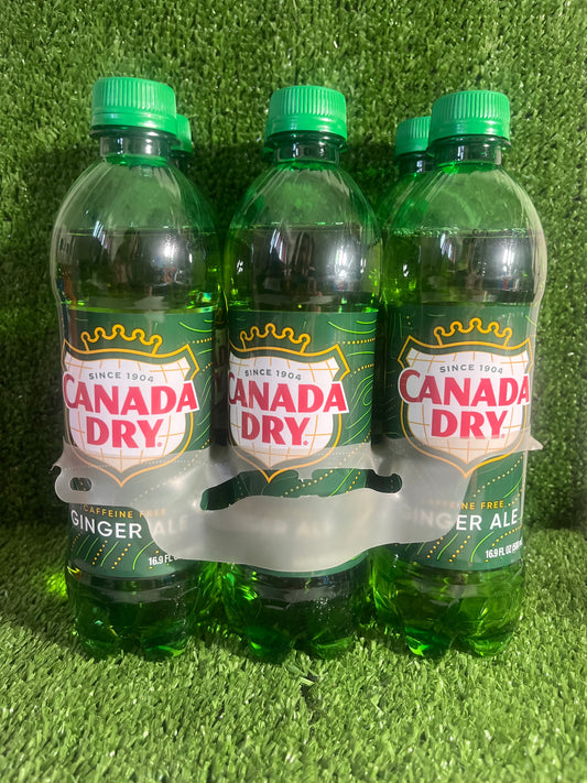 Ginger Ale 6pk