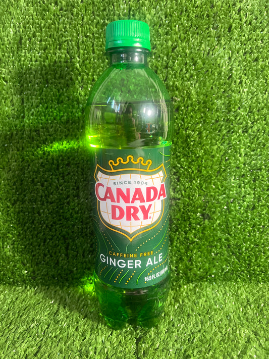 Ginger Ale 16oz