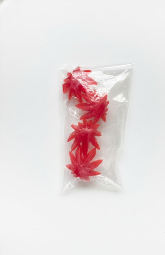 Homemade Gummies Starfish