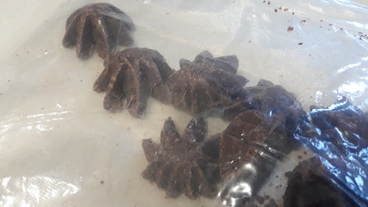 Homemade Chocolate Candy Starfish
